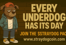 $STRAYDOG: From Scraps to Steaks… And Now Giving Back to the Pack